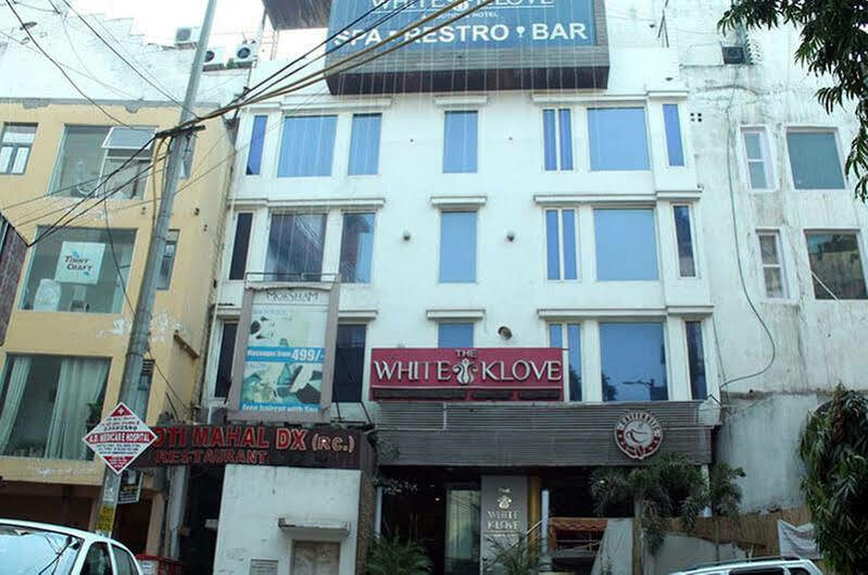 The White Klove 3*