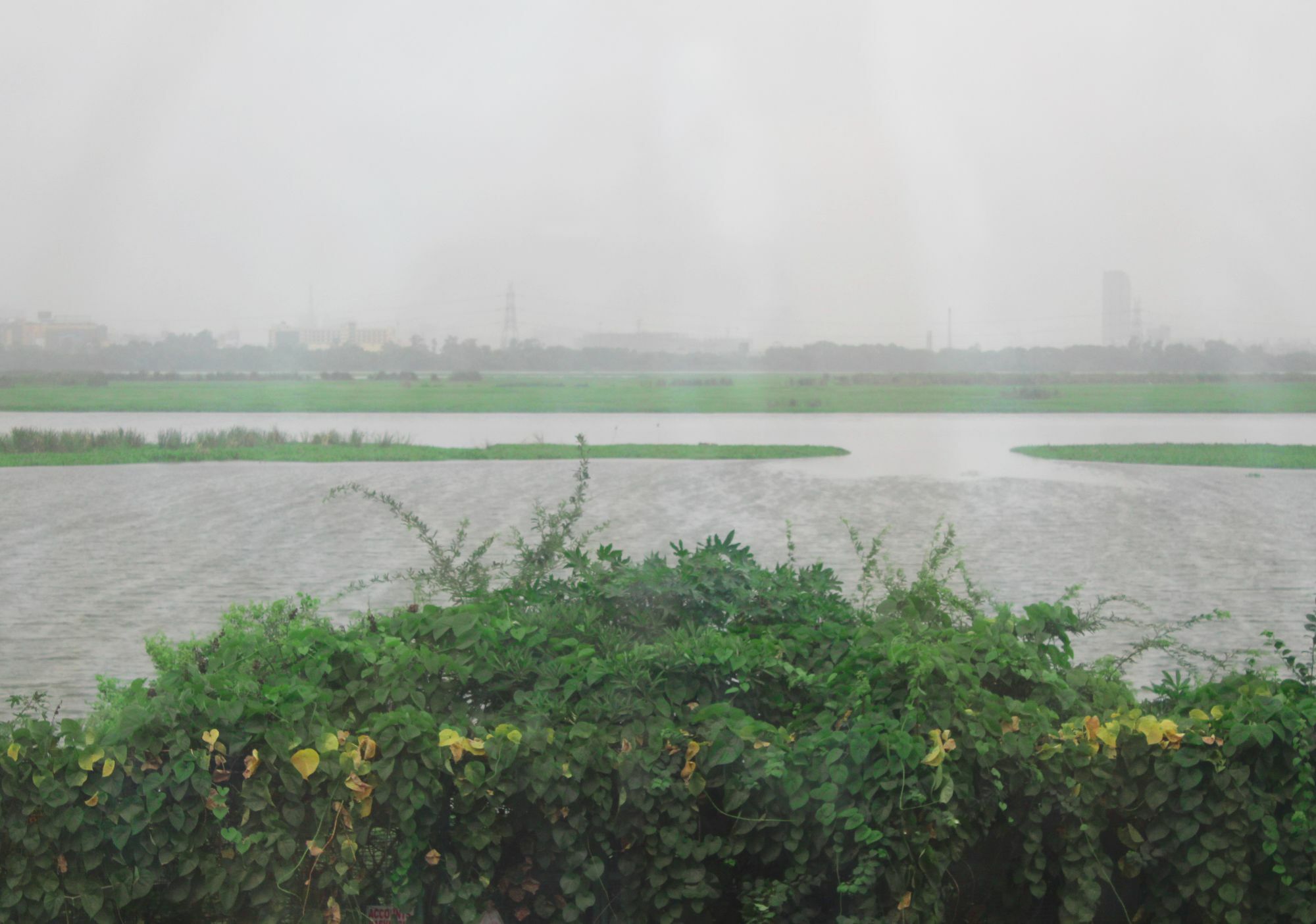 River View New Delhi
