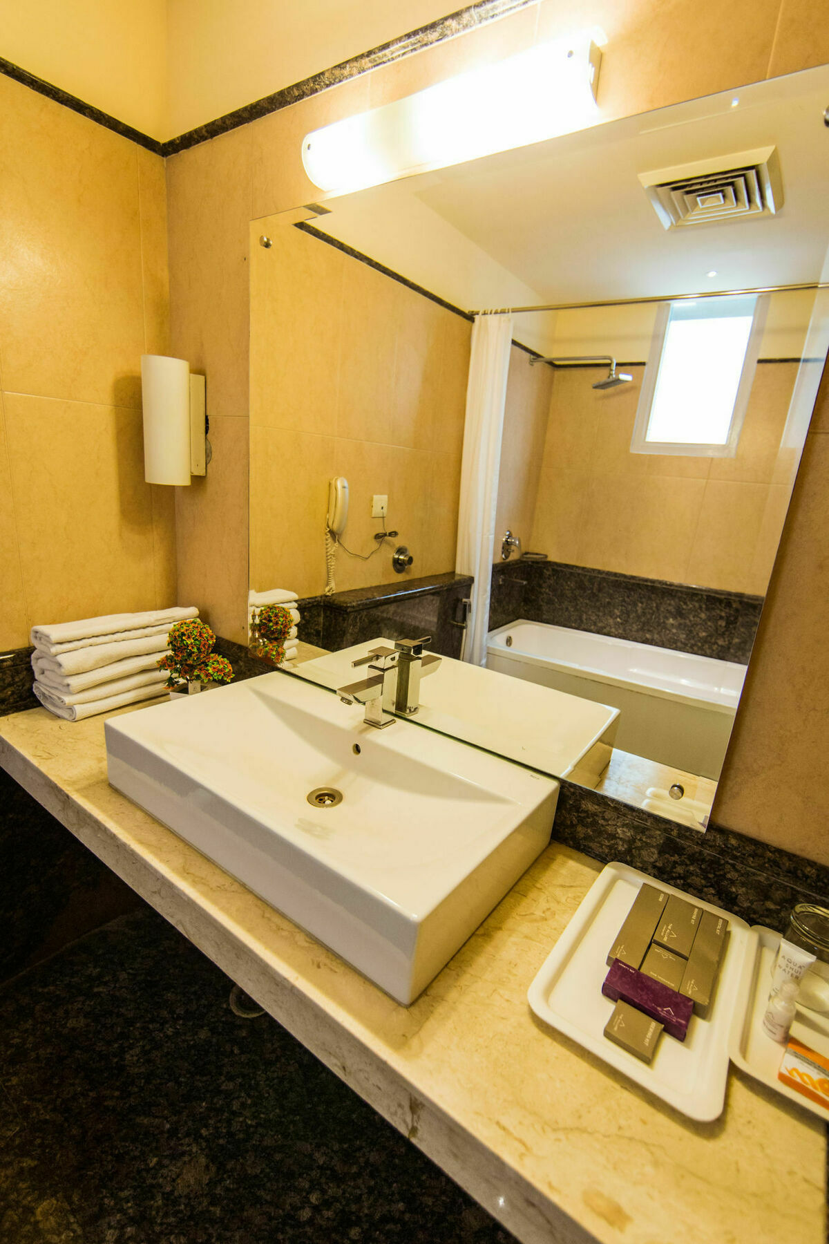 Clark International 3* Delhi (National Capital Territory of India)
