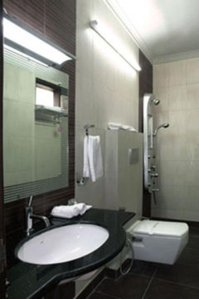 Hotel Cartel Palace Delhi (National Capital Territory of India)