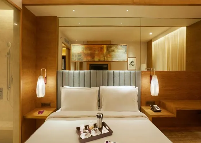 Ocean Suites Near Delhi Airport
