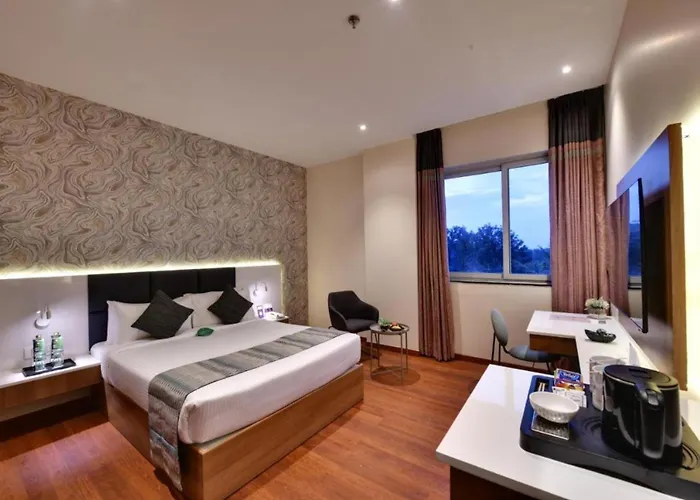Hotel Tela Plaza Near Igi Airport Delhi
