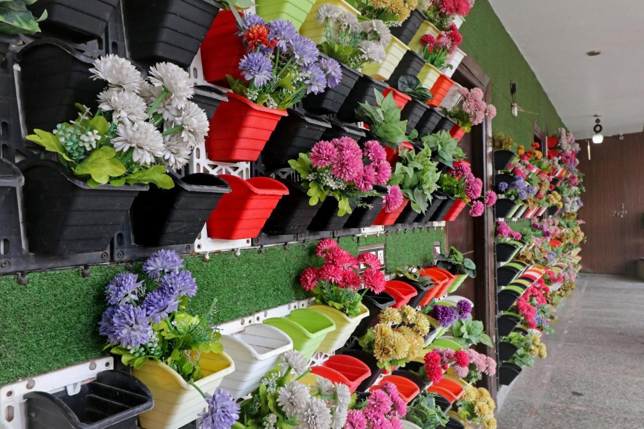 Hotel Mannat International By Mannat Nova Deli