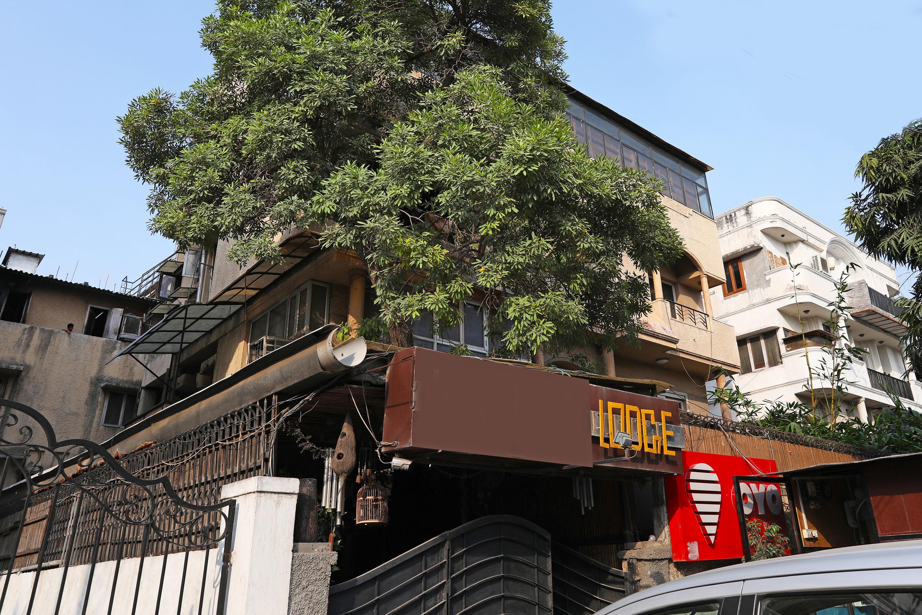 Collection O Hamilton Hotel New Delhi