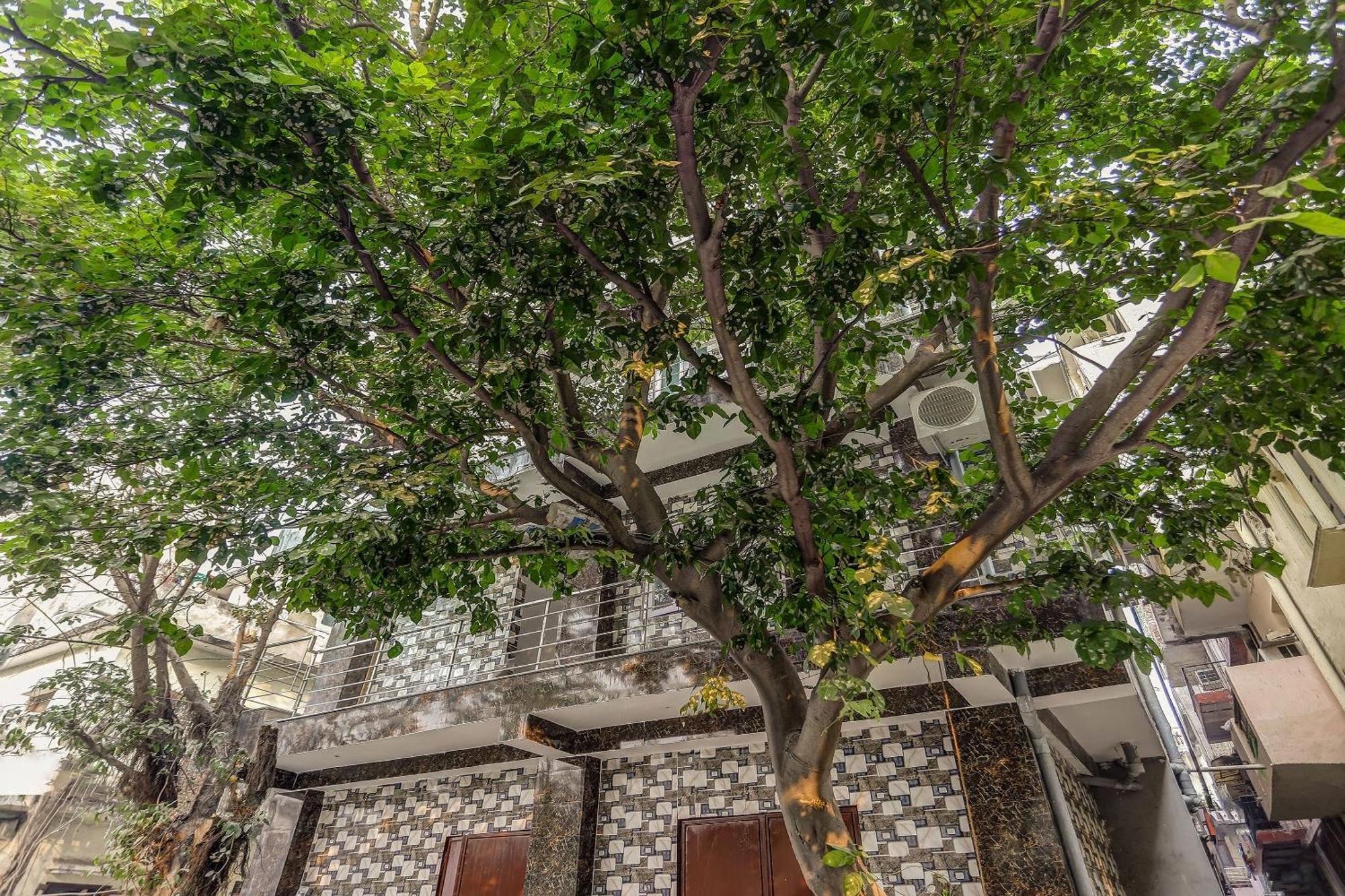 Hotel Oyo Flagship 84036 Welcome 3*