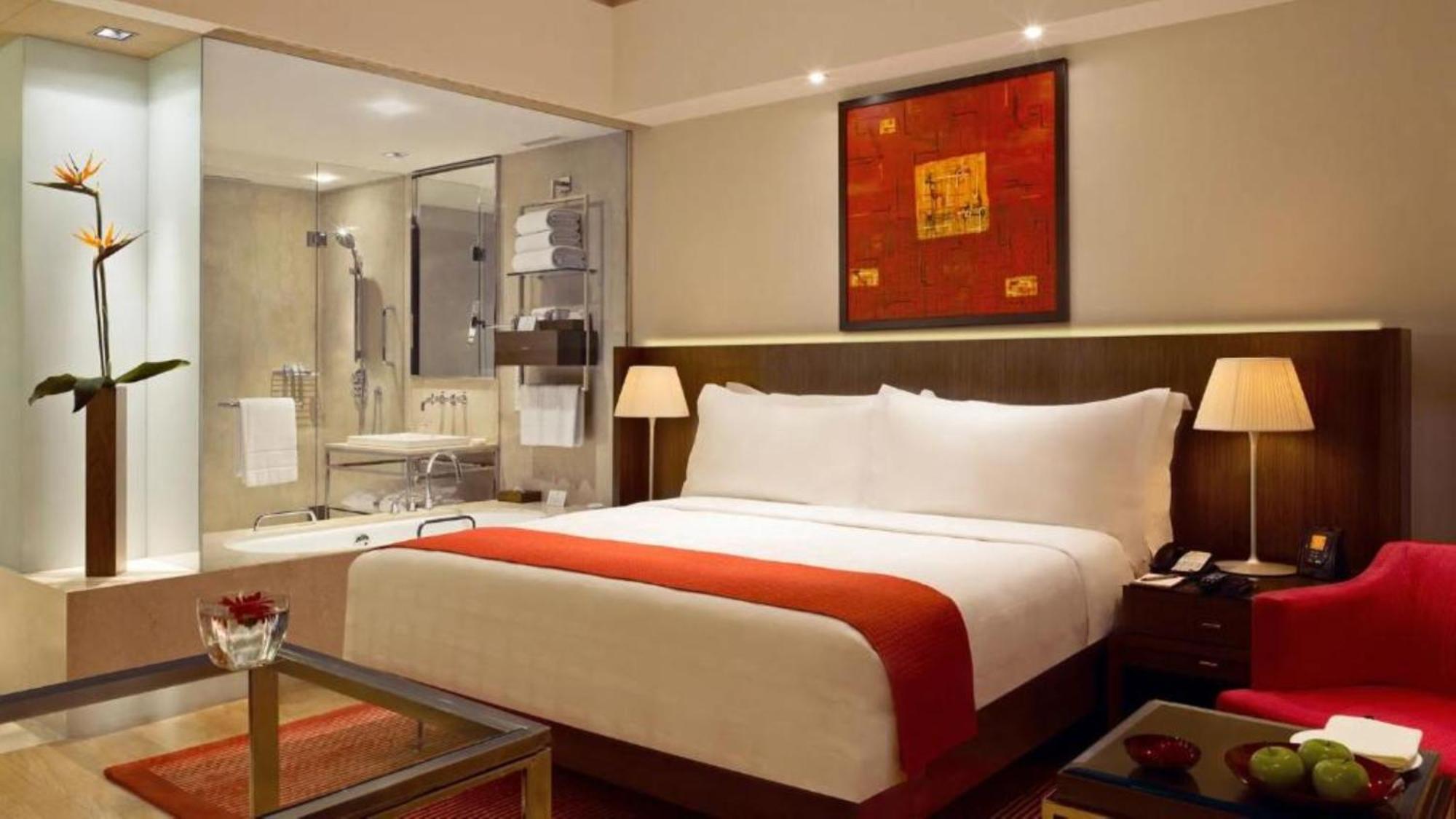Hotel Laxury A Family Near Igi Airport 4*