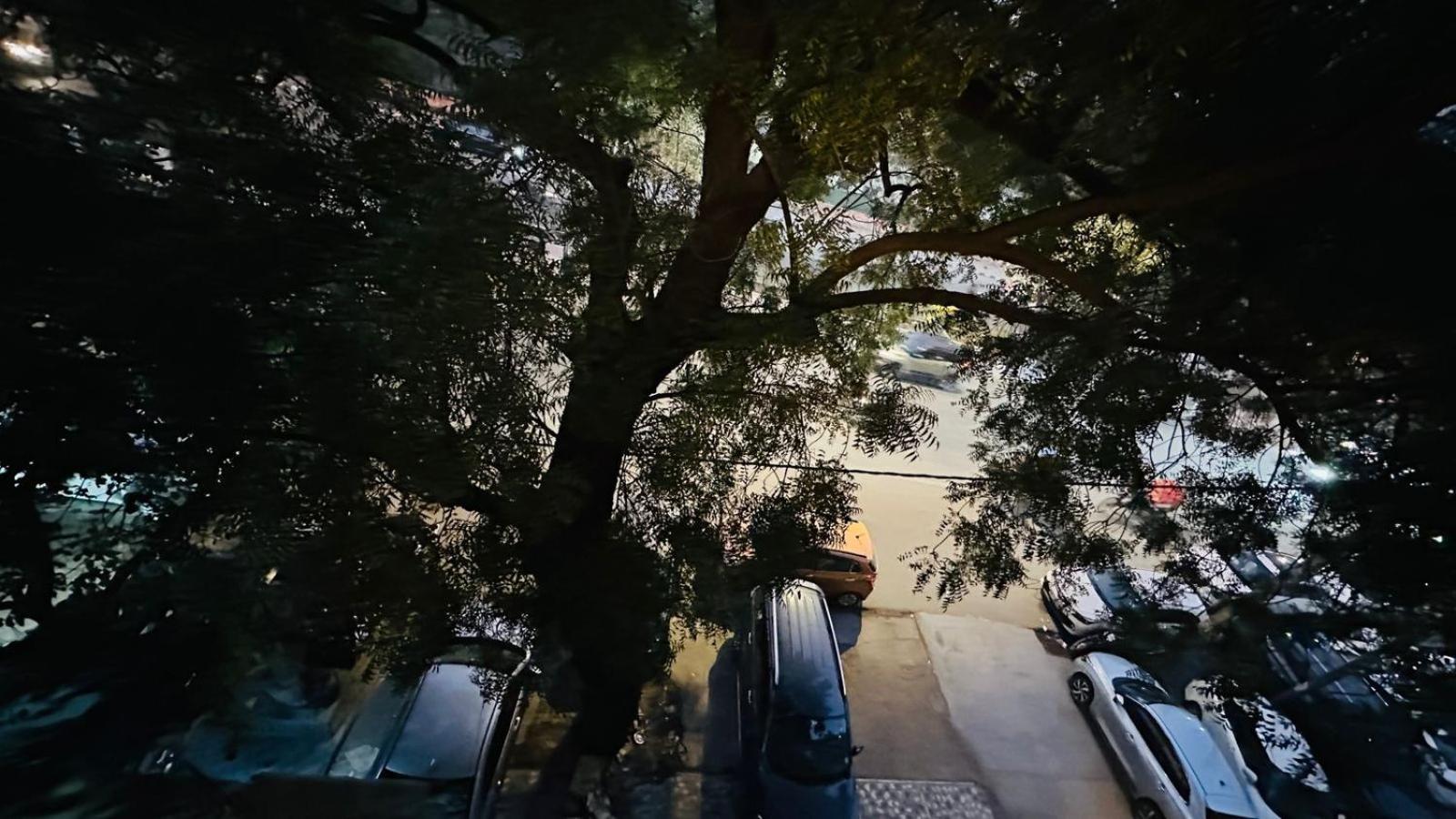 Luxury Prime Location, South Delhi Homestay