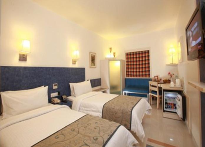 Tulip West Delhi 3*