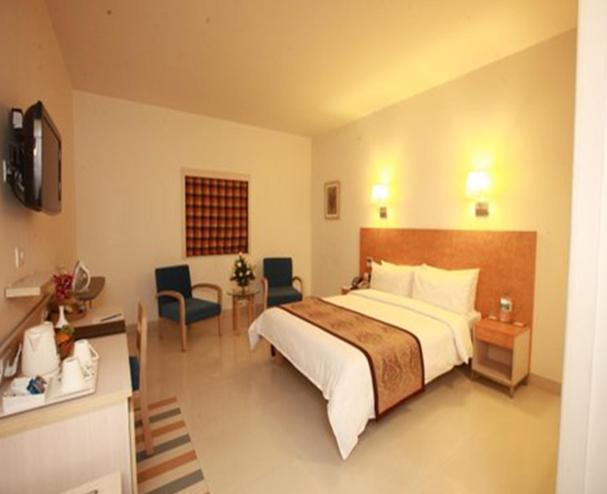 Tulip West Delhi Hotel 3*