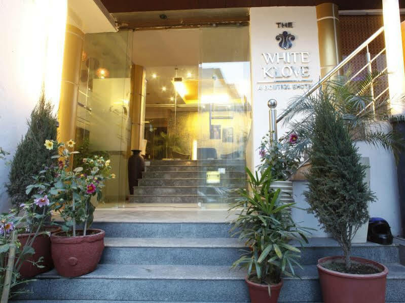 The White Klove Hotel 3*